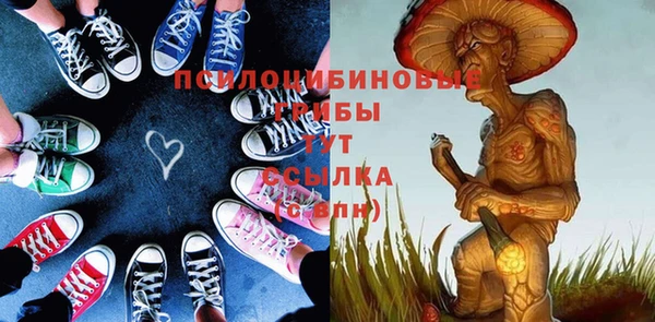 альфа пвп Армянск
