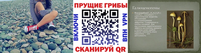 Купить закладки  Дальнереченск  Псилоцибиновые грибы мухоморы 
